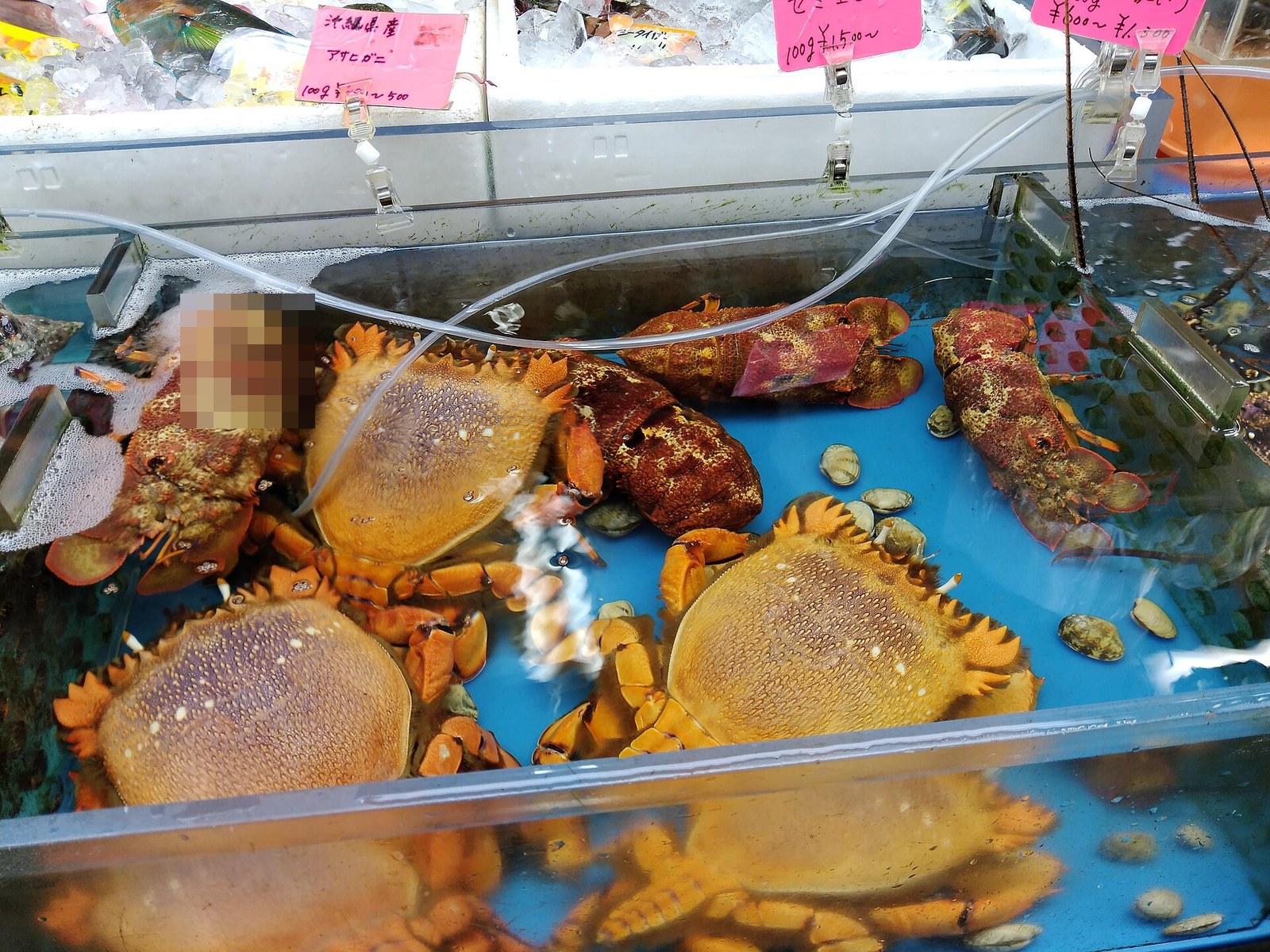 마키시 시장 1층 수산 코너