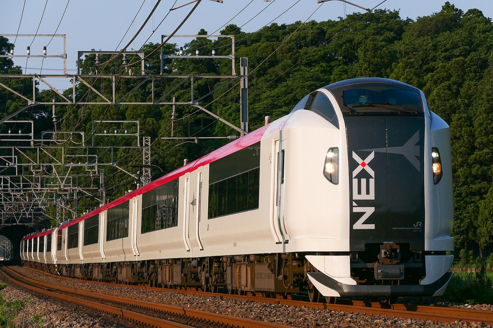 N'EX 차량 또는 짐 보관 칸
